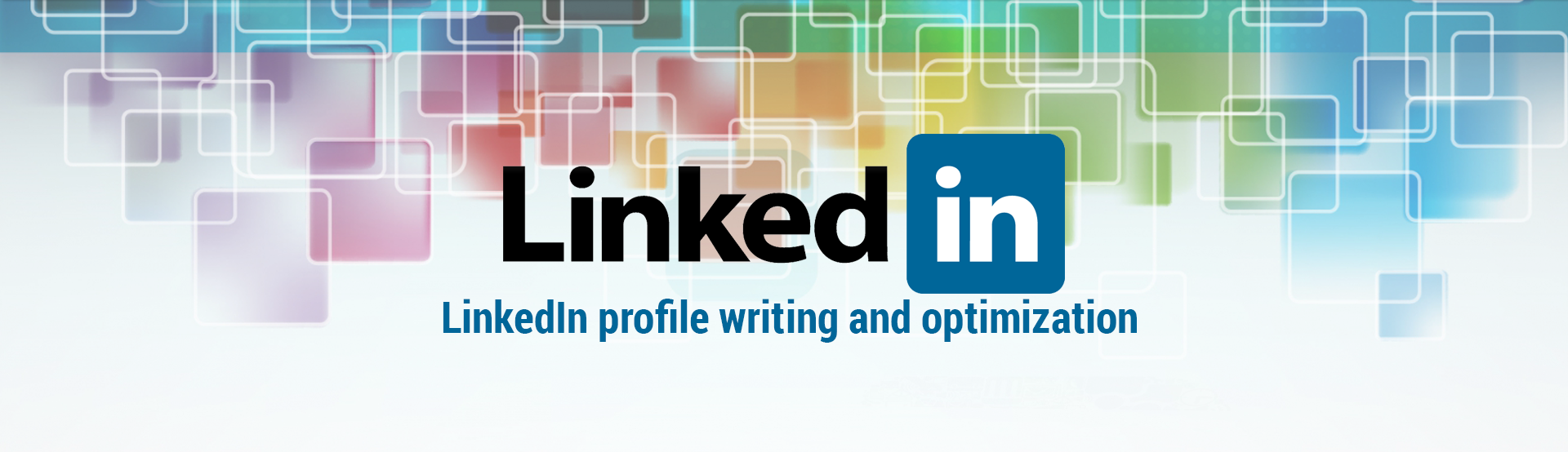 LinkedIn Profile Writing & Optimization Service - profile writer